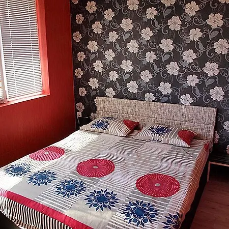 Sveta Marina Guest house Krapets (Dobrich)
